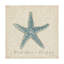 « Beach Treasures II Christmas » par Emily Adams, reproduction d’art sur toile