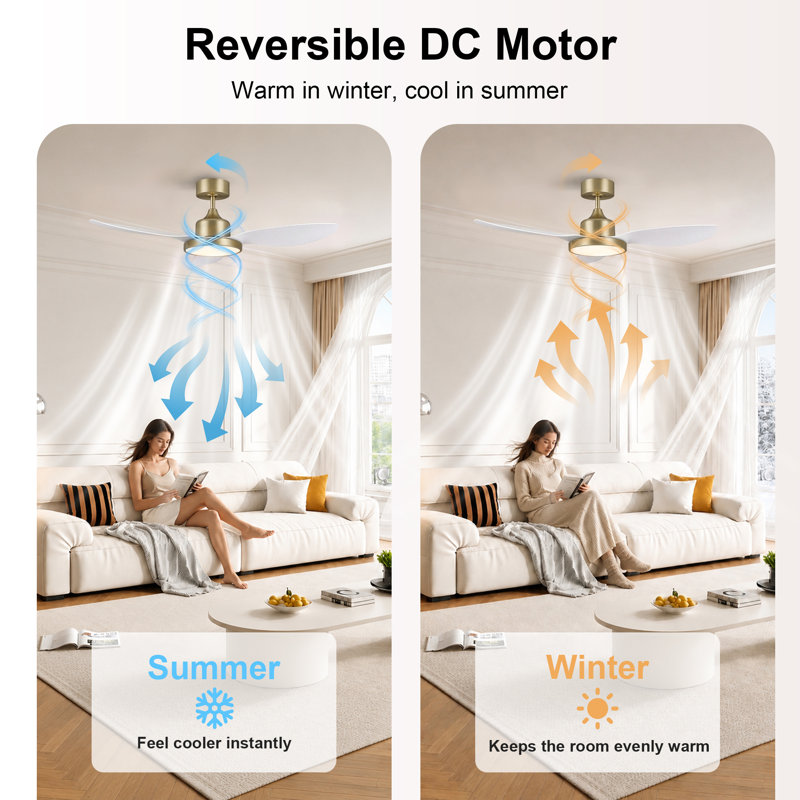 54" Ceiling Fan & 42" Ceiling Fan, White / Gold