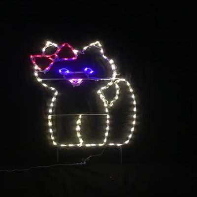 Chaton avec étal de Noël