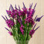 Plastic, Silk Artificial Arrangement