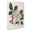 Puriri Vitex Lucens Flowers by Sarah Featon - Wrapped Canvas Print-55322433