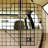 Metal Free Standing Pet Gate