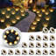 Stainless Steel Solar Powered Integrated LED Stainless Steel Pathway Light Pack-117245997-120754986