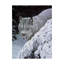 «Be Der The Hemlock Lynx» par Etelca, impression sur toile tendue-27653033