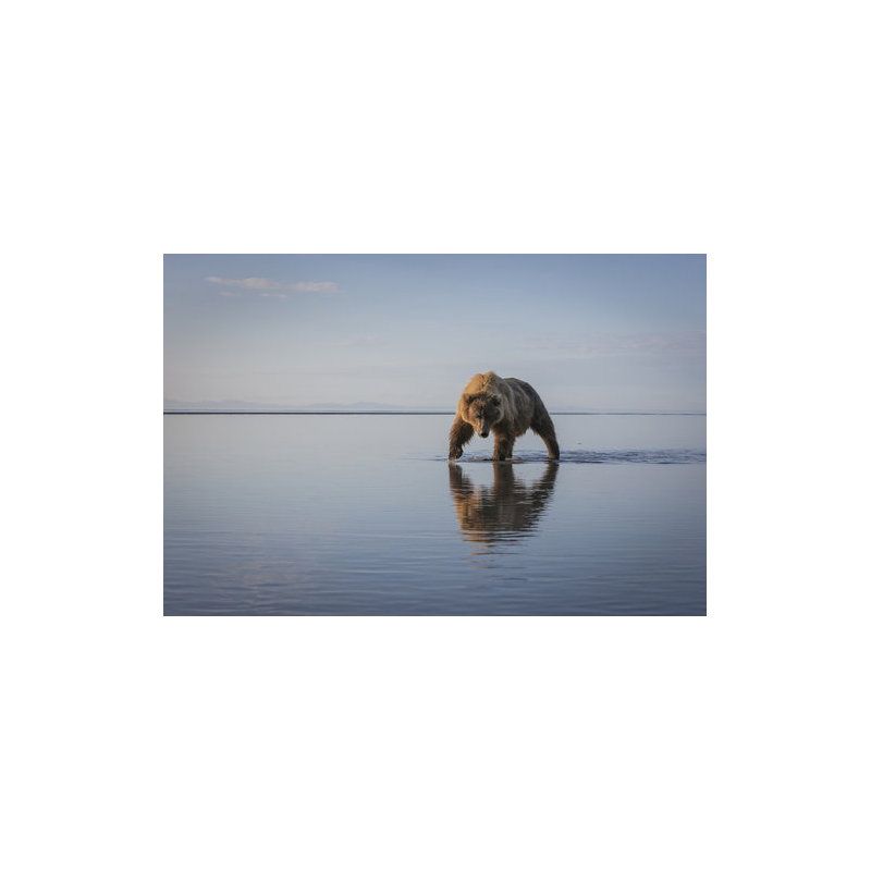 Wrapped Canvas Print, 50.8 cm H x 76.2 cm W