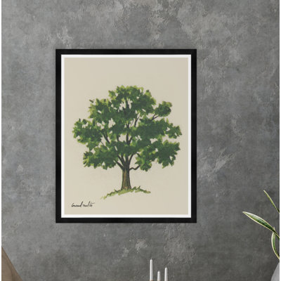 Moulton Collection " Meadow Tree Iii "