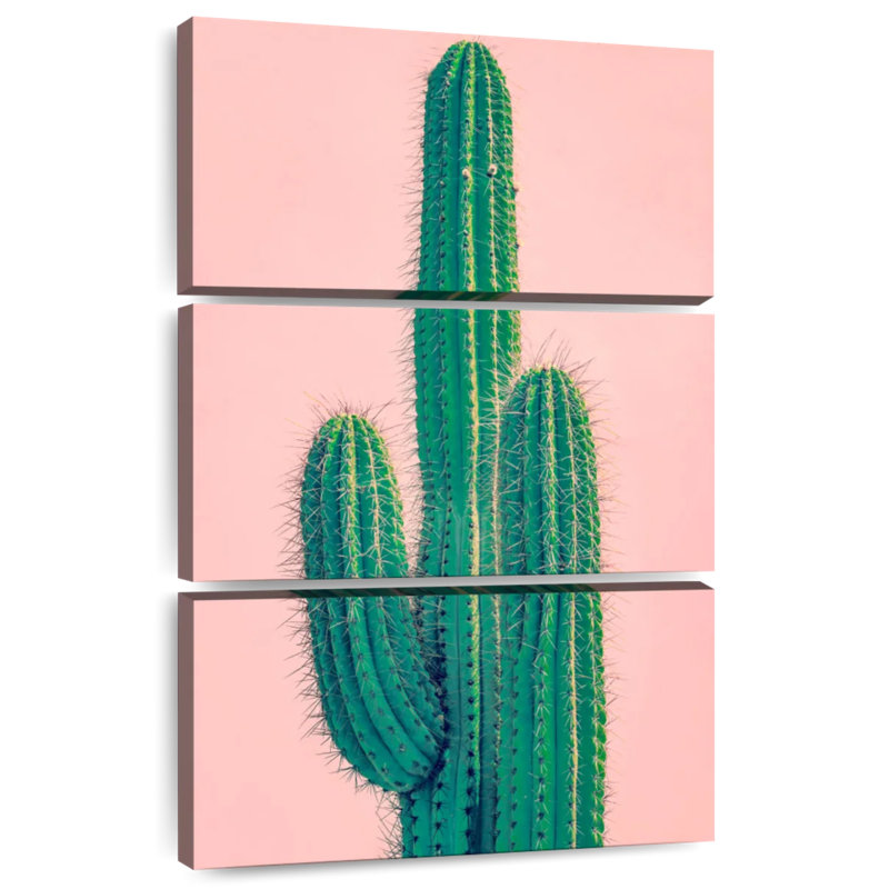 Tall Green Cactus