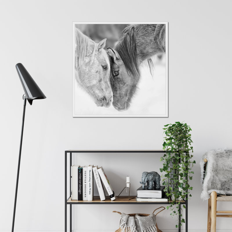 B&W Horses VII by PHBurchett - Print, 80cm H x 80cm W, White Framed Paper Print