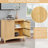 Storage Cabinet With 2 Doors