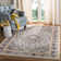 Balch Performance Oriental Rug