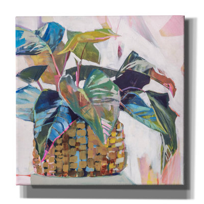 "Epic Graffiti" Abbey's Greens "par Jenny Westenhofer, art mural sur toile" par Jenny Westenhofer