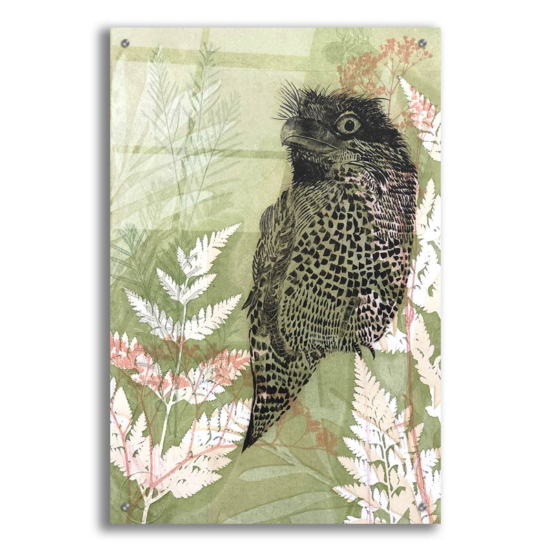 Epic Art «Tawny Frog Mouth» par Trudy riz, Acryli «Tawny Frog Mouth» par trudy riz, H 36 po x l 24 po x P 0,2 po
