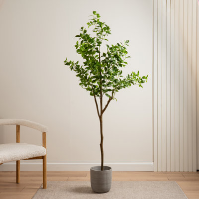 180cm Faux Real Touch K/D Ficus Tree