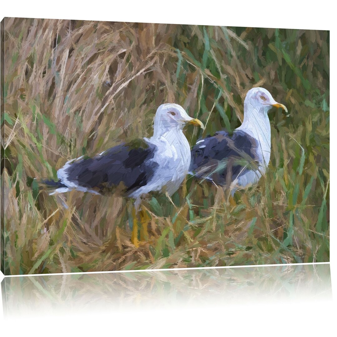 Leinwandbild Zwei Möwen im hohen Gras in Grün/Braun/Grau