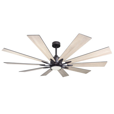 Kayeden 66'' Ceiling Fan with LED Lights