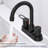 Effortless Water Control Brass Modern Matte Black For Rv And Home Bathrooms