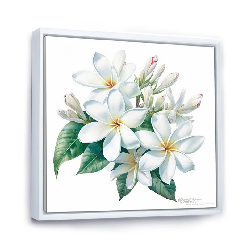 Plumeria charmante et élégante, Cadre flottant blanc, 24" H x 24" W