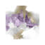 Heavenly by Debi Coules - Painting on Canvas-56731314-34180335