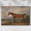 Portrait d'un cheval bai dans un paysage-James Ward-Gallery, toile tendue-1820