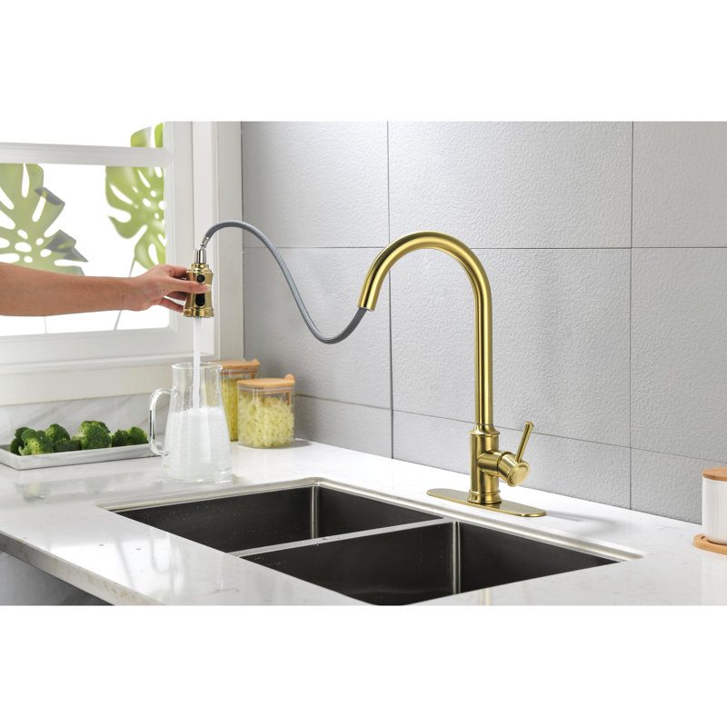 Robinet de cuisine à poignée simple en acier inoxydable doré brossé avec surface corrosive, robinet de 5 lb avec douchette rétractable pour un accès pratique à l'eau