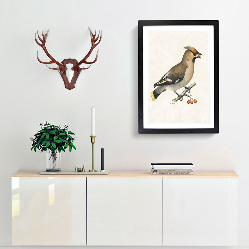 Bohemian Waxwing by Von Wright - Picture Frame Graphic Art Print, Black Framed, 48cm H x 36cm W x 2cm D