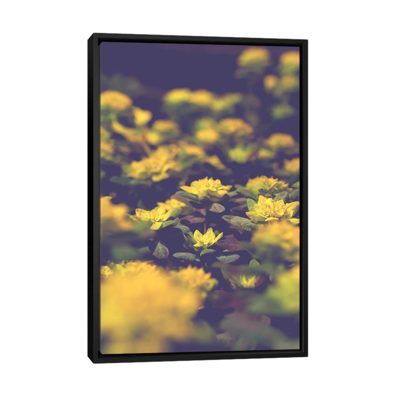 « subtil », impression sur toile, H 26 po x l 18 po x P 1,5 po, Toile avec cadre noir, Pas de tapis