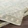 Shaniya Southwestern Indoor Rug