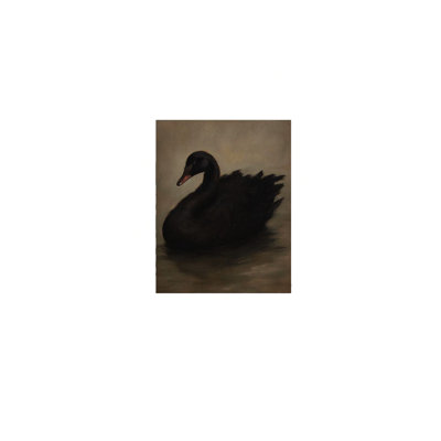 Vintage Swan Pictures Moody Black Swan Canvas Vintage Swan Pictures Moody Black Swan Canvas Prints Dark Academia Decor Animal Paintings Wall DecorPrints Dark Academia Decor Animal Paintings Wall Decor， Canvas Solid Wood Frame Support,16 inch X 24 inch