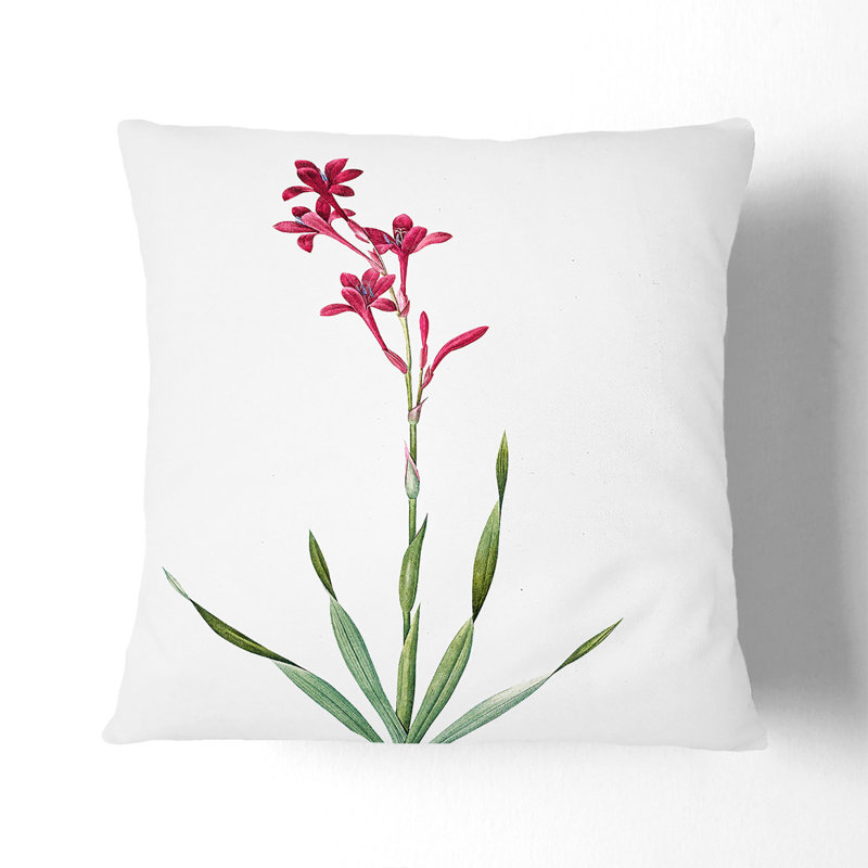 Bugle Lily In Pink Floral Square Throw Cushion, 55cm H x 55cm W x 20cm D