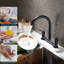 Brayden Studio Kitchen Faucet