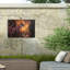 Feux d'artifice abstrait bolologique 2020 4-98082034