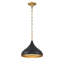 1 luminaire suspendu