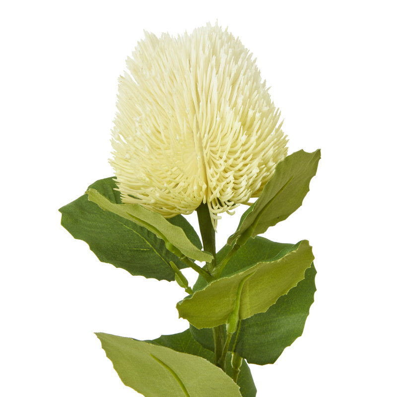 Arrangement, Cream, 59cm H x 8cm W x 8cm D