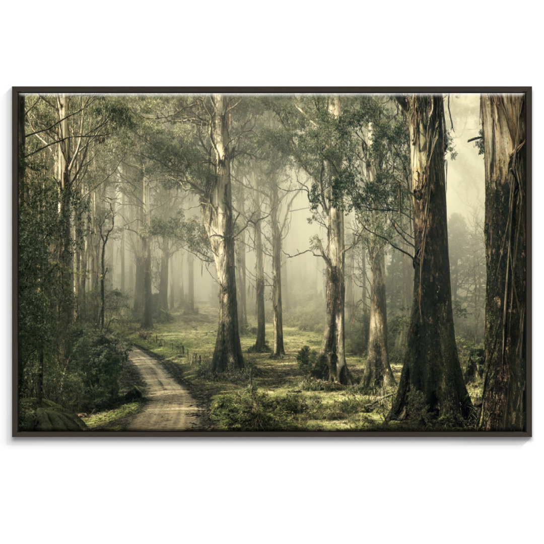 Silently Still' Photograph on Canvas