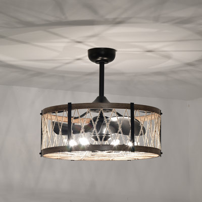 Deonne 22'' Ceiling Fan with Light Kit