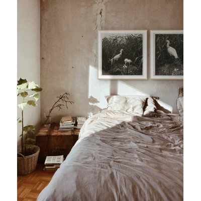 «Coastal Birds 1» par THE Studio - Impression sur papier d'une seule photo