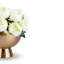 Sorel RealTouch Peony Arrangement