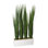 Faux Onion Grass Grass in Solid Wood Planter