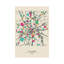 Cologne, Germany Map by Ayse Deniz Akerman - Wrapped Canvas Gallery-Wrapped Canvas Giclée
