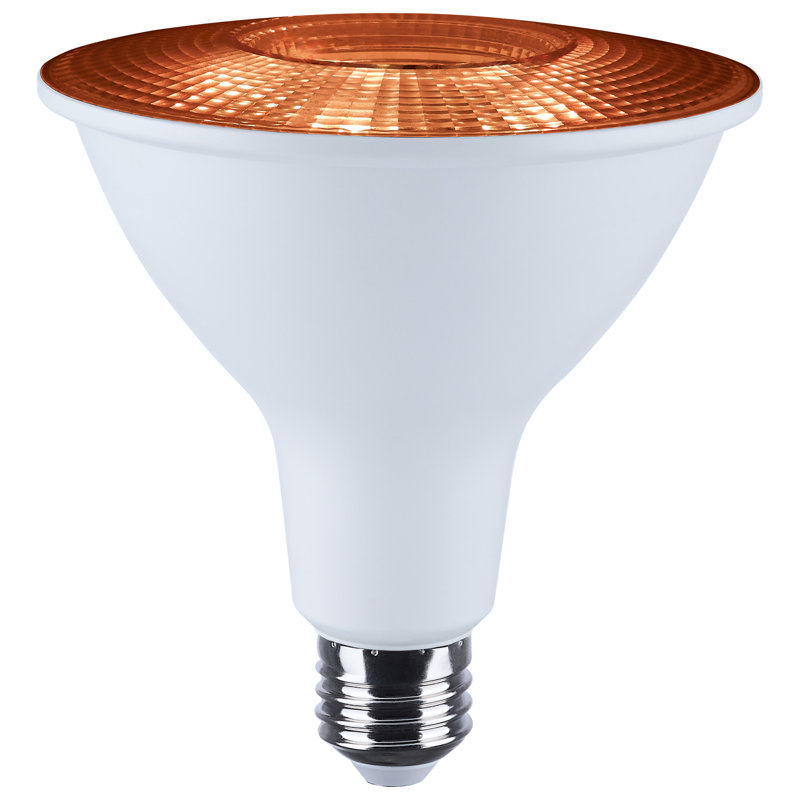 Étoile de mer 15 watts PAR38 2700K-5000K RVBBT à culot moyen 120 volts