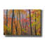 «Autumn Colors» par Patrick Zephyr, art mural sur toile-1361258673