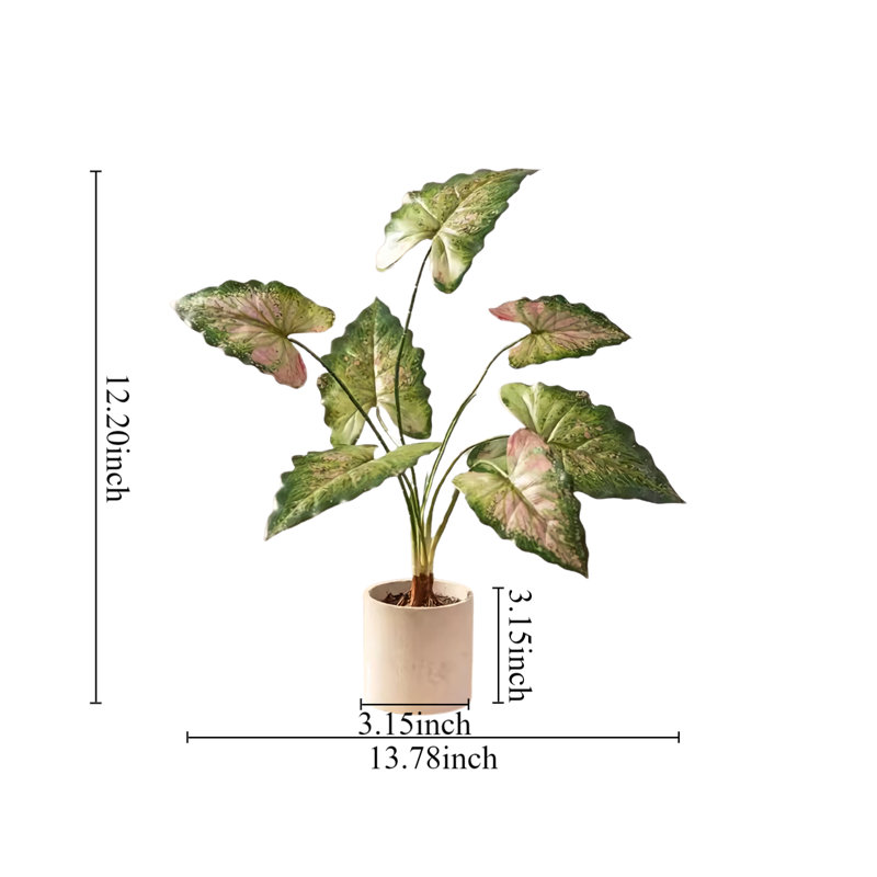 Simulation créative de plantes en pot