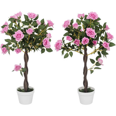 Arrangement in Pot