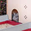 Rabbit Cage