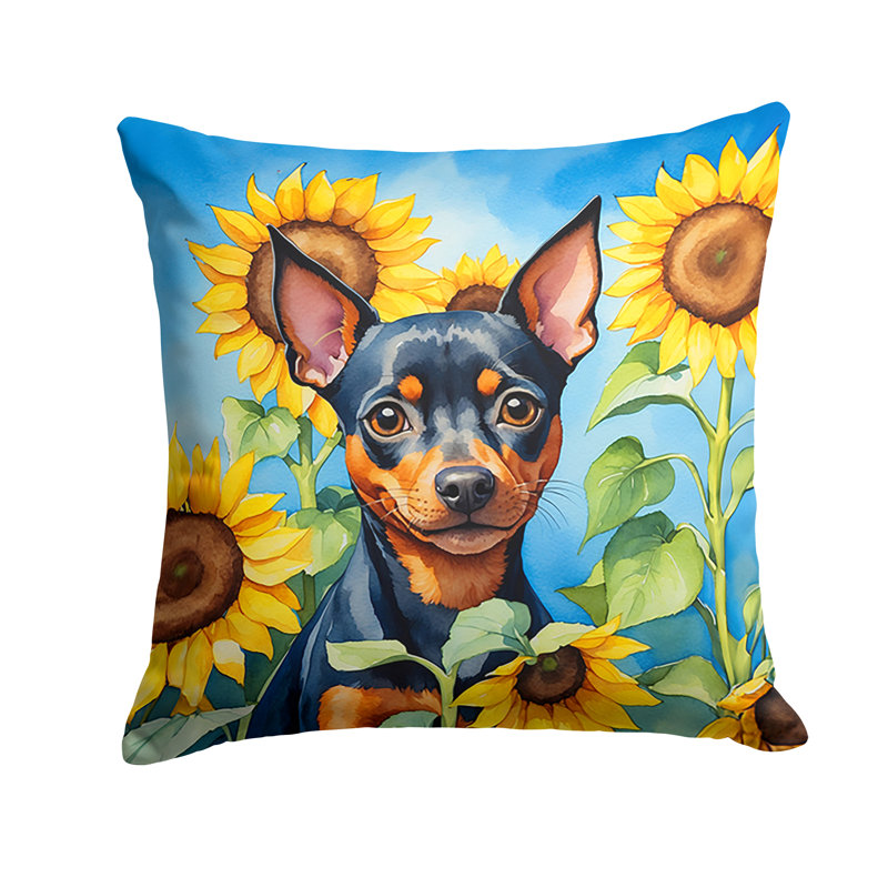 Other/No Pattern Outdoor Throw Pillow, 18" H x 18" W