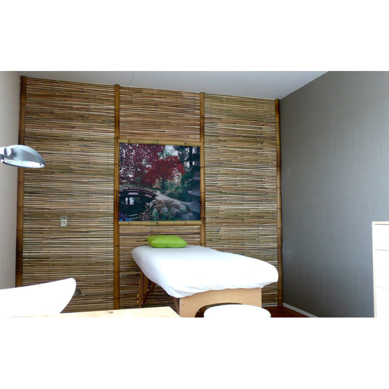 Panneau de clôture en bambou, H 48 po x l 168 po