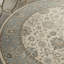 Living Treasures Oriental Area Rug-49422411