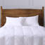 Cuddledown Percale 600FP Down Comforter-1395459164-1391217673