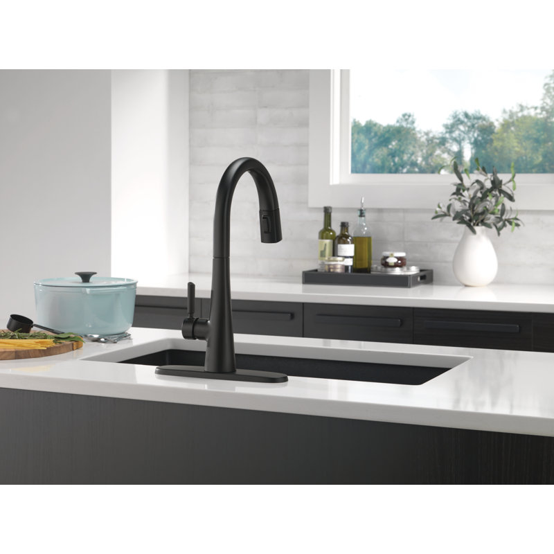 Monrovia Pull Down Single Handle Kitchen Faucet, Matte Black