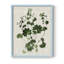 «Forest Foliage on Linen III», reproduction encadrée - bois massif-1753660894-1753660902